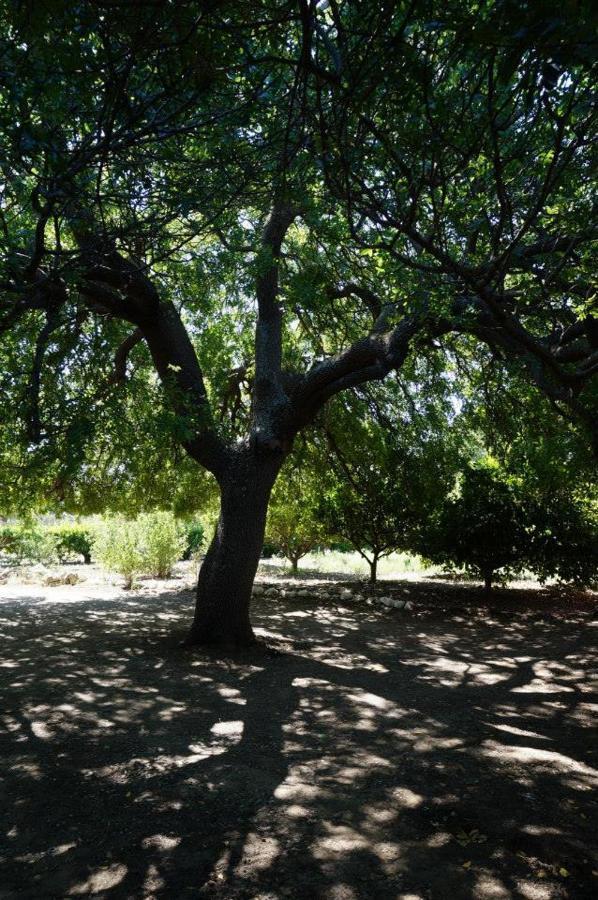 Αρχοντικό Αγγέλου Ξενοδοχείο Άλιντα Εξωτερικό φωτογραφία